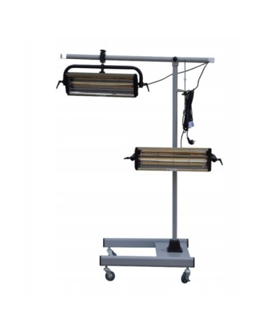 HECKMANN 2DS