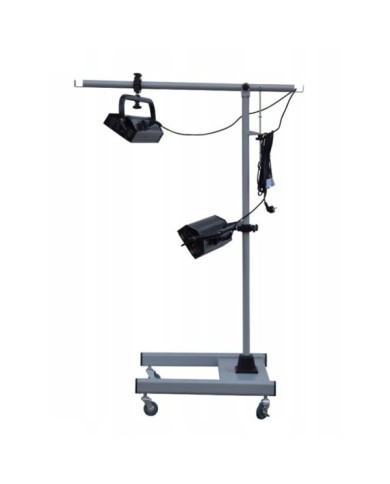  HECKMANN 2DS